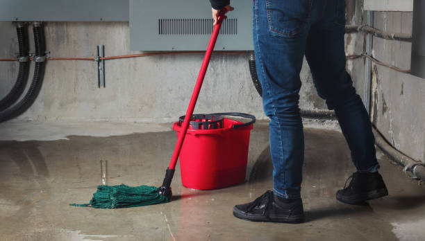 Best Water damage contractors near me  in Wales, WI