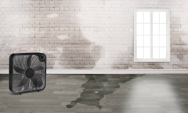 Trusted Wales, WI Water damage restoration Experts