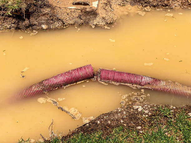 Best Carpet water damage restoration  in Wales, WI