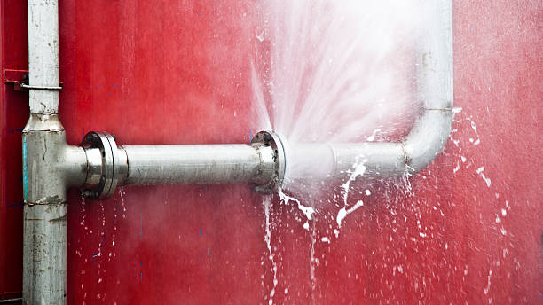 Best Flood damage cleanup  in Wales, WI